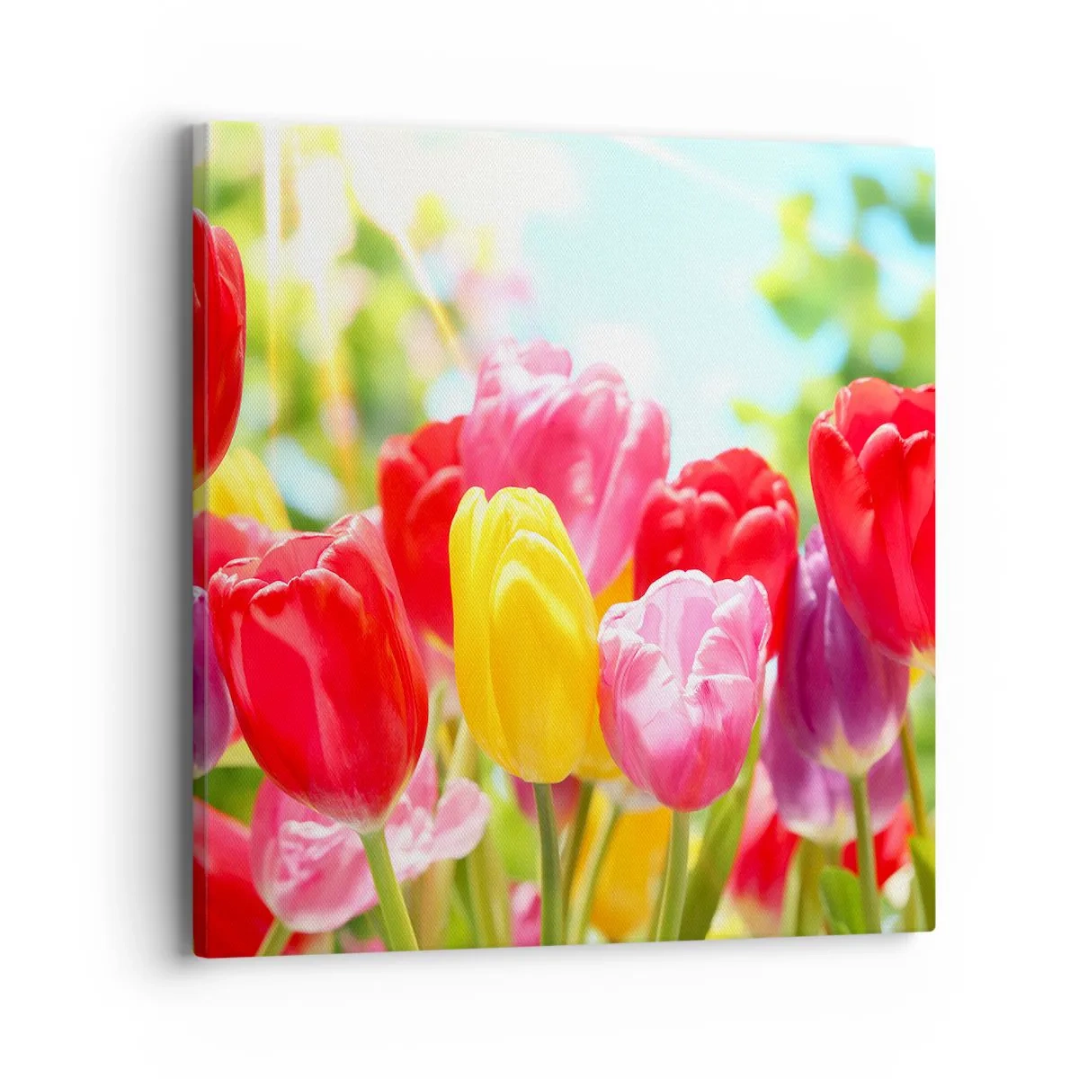 Quadro su tela - Stampe su Tela - Eccoci, i colori di maggio! - 40x40 cm