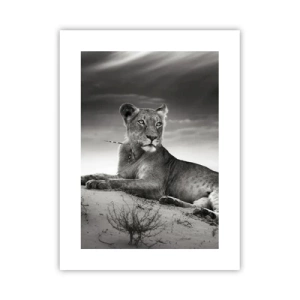 Poster - Il riposo della regina del deserto - 30x40 cm