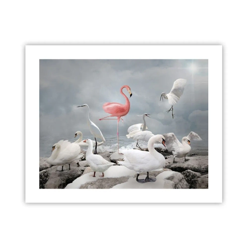 Poster - Come sono arrivato qui? - 50x40 cm