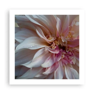 Poster - Freschezza in fiore - 50x50 cm