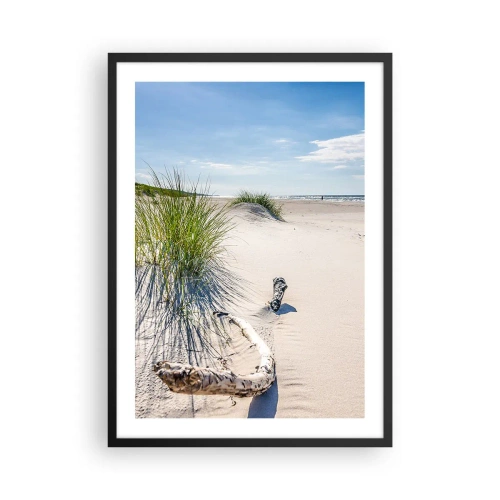 Poster in cornice nera - Spiaggia con dune, erba e rami alla luce del sole - 50x70cm - La più bella? Quella del baltico - Decorazione murale moderna per soggiorno e camera da letto ARTTOR