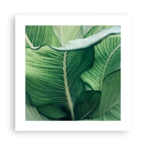 Poster - Una vita intensamente verde - 40x40 cm