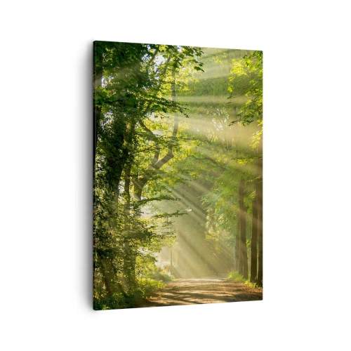 Quadro su tela - Stampe su Tela - Sentiero nel bosco con raggi di sole che brillano attraverso gli alberi - 50x70cm - Un attimo nel bosco - Decorazione murale moderna per soggiorno e camera da letto ARTTOR