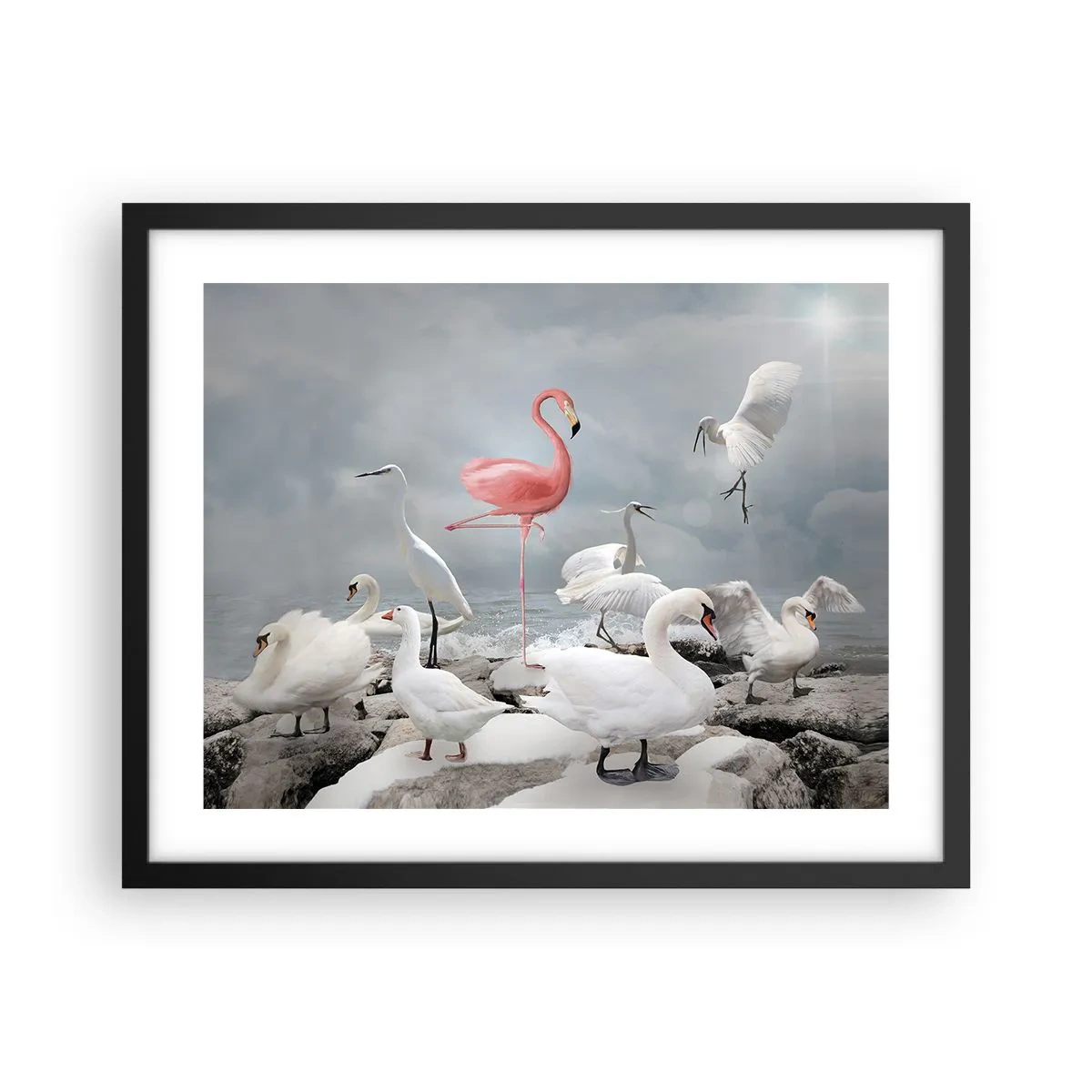 Poster in cornice nera - Come sono arrivato qui? - 50x40 cm