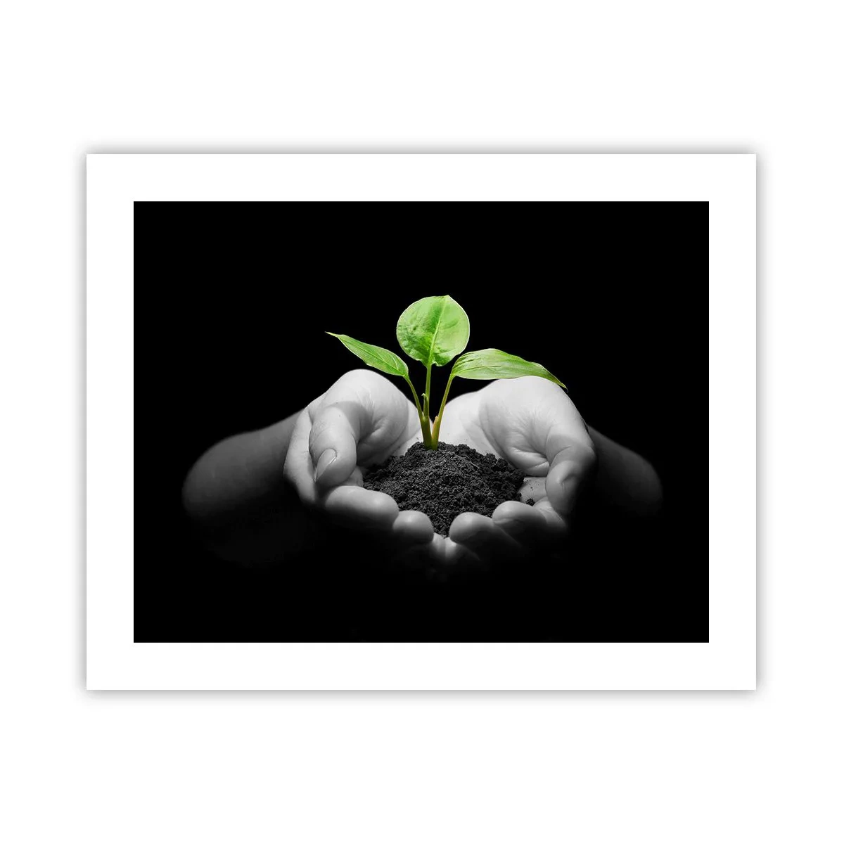 Poster - Amo la natura, la proteggo - 50x40 cm