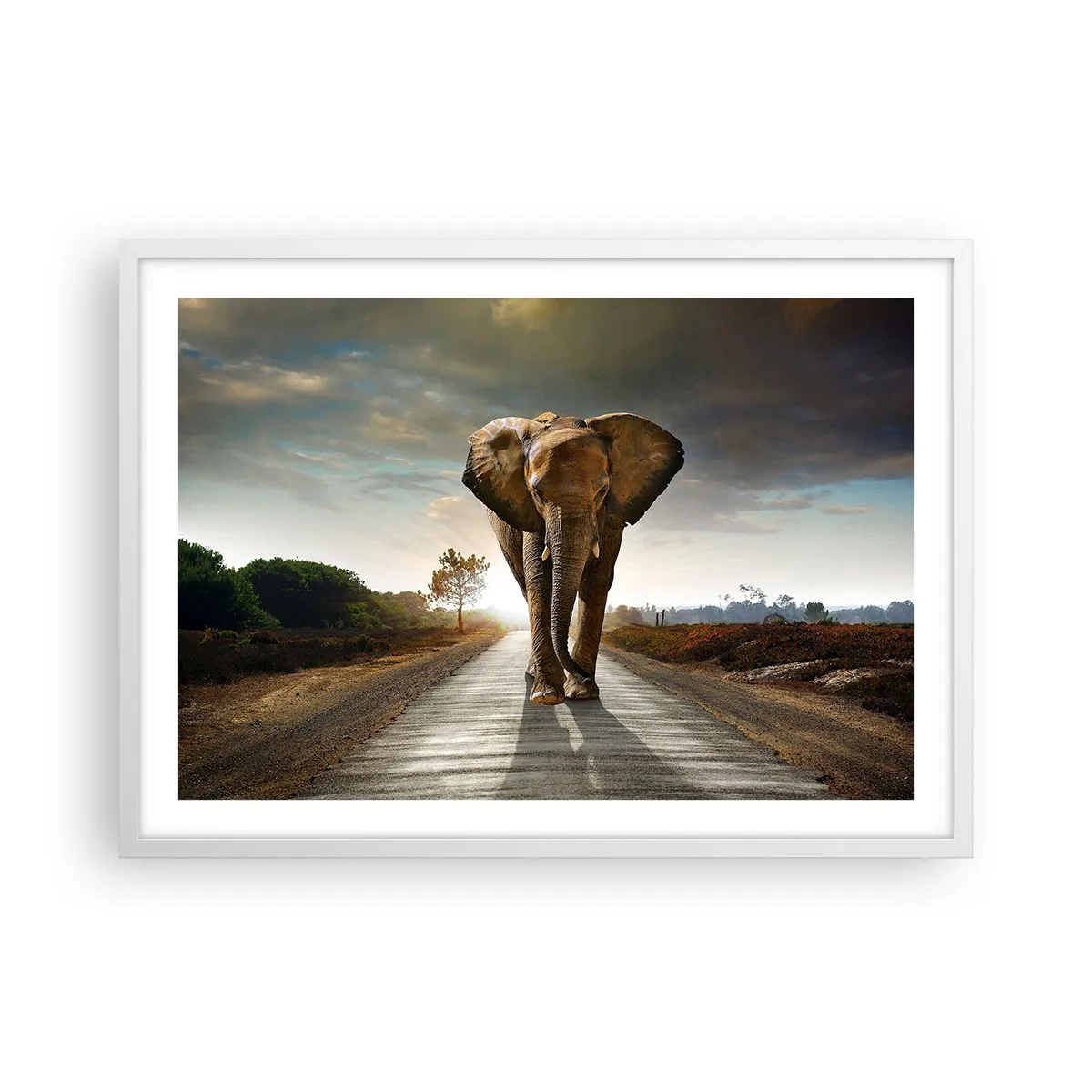 Poster in cornice bianca - E non nel negozio di cristalli - 70x50 cm