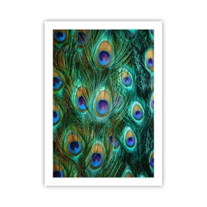 Poster - Piume di pavone dai colori intensi - 50x70cm - Lo sguardo del pavone - Decorazione murale moderna per soggiorno e camera da letto ARTTOR