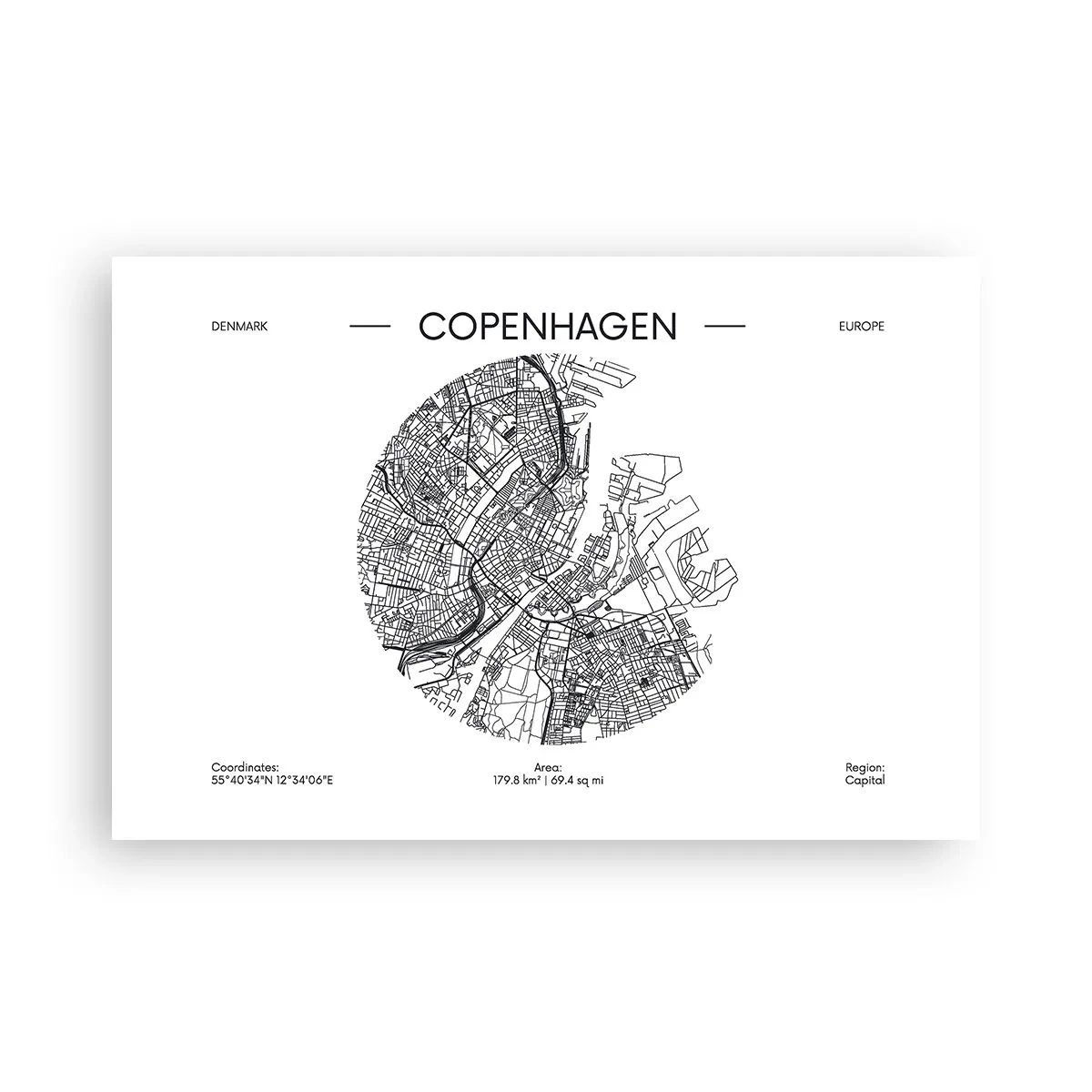Poster - Anatomia di Copenaghen - 91x61 cm