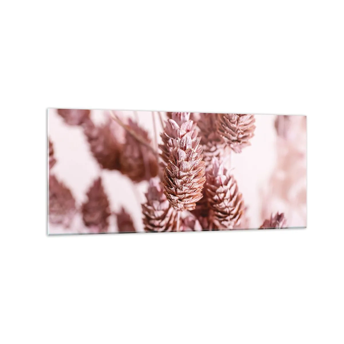 Quadro su vetro - Un primo piano delle delicate spighe rosa delle erbe ornamentali - 120x50cm - A prima vista poco appariscenti - Decorazione murale moderna per soggiorno e camera da letto ARTTOR