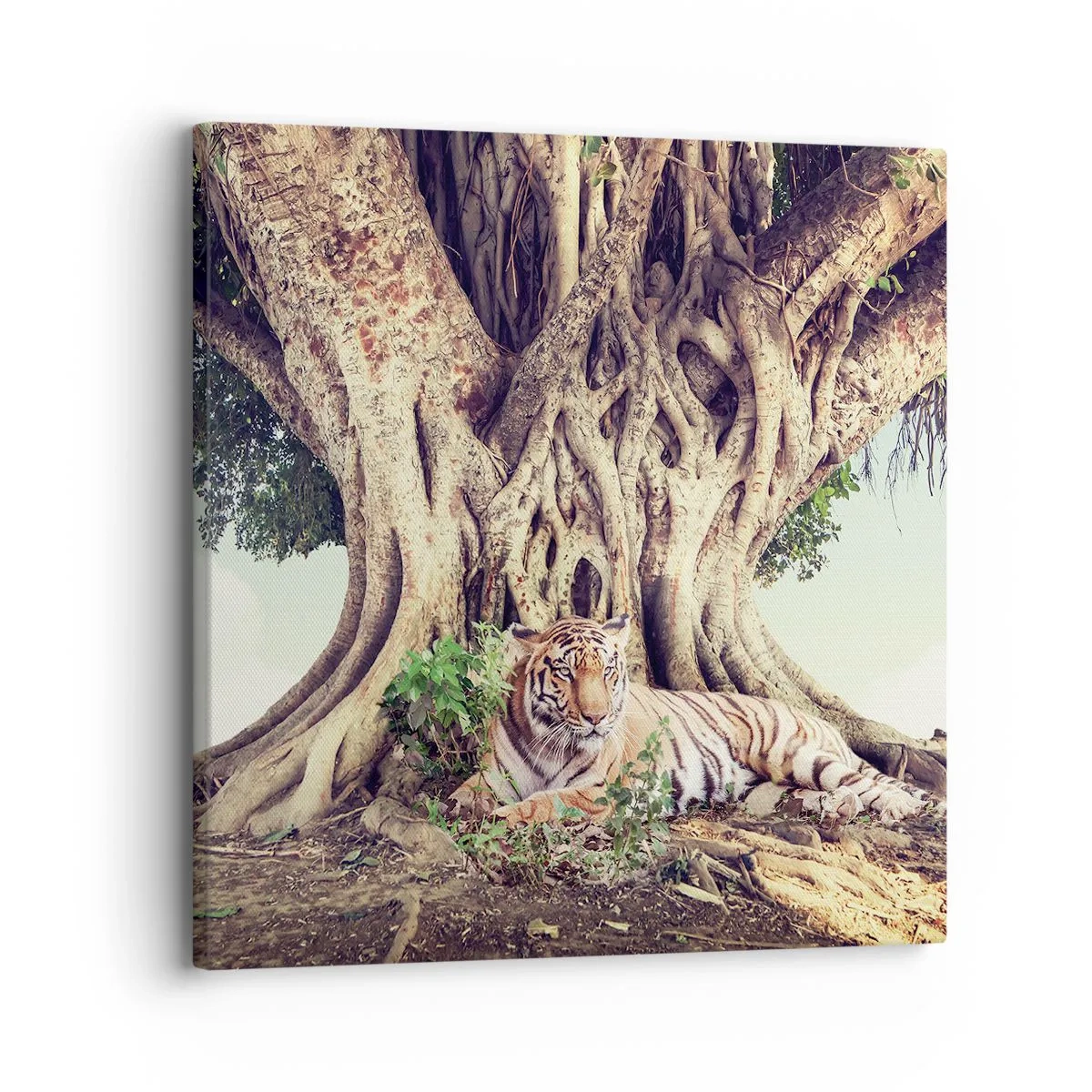 Quadro su tela - Stampe su Tela - Vista dal Libro della Genesi - 30x30 cm