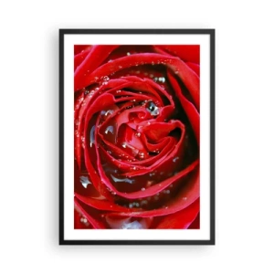 Poster in cornice nera - Primo piano di una rosa rossa con gocce d'acqua - 50x70cm - Nelle gocce della rugiada - Decorazione murale moderna per soggiorno e camera da letto ARTTOR