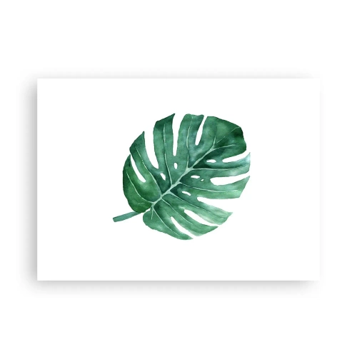 Poster - Concetto verde - 70x50 cm