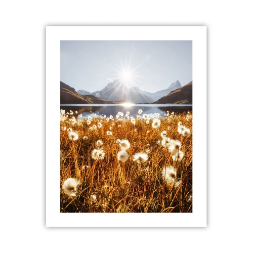 Poster - Durezza delle pietre, morbidezza dell'erba - 40x50 cm