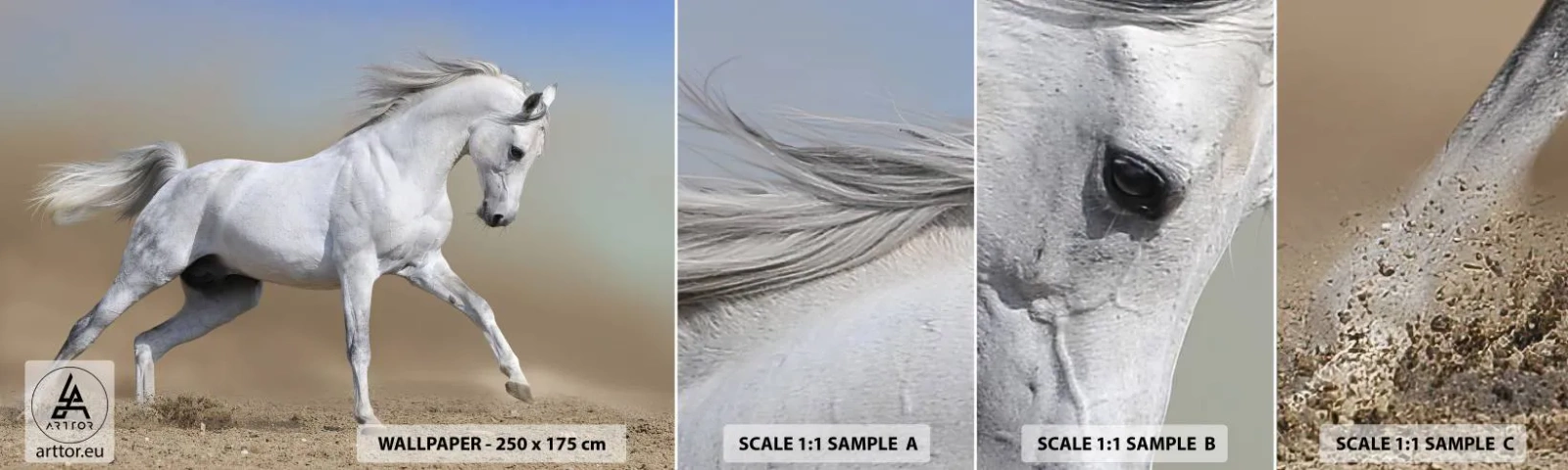 Campione Di Fotomurale Standard Eco - La più bella favola araba - Cavallo, Animali, Galoppo - 100x30 cm