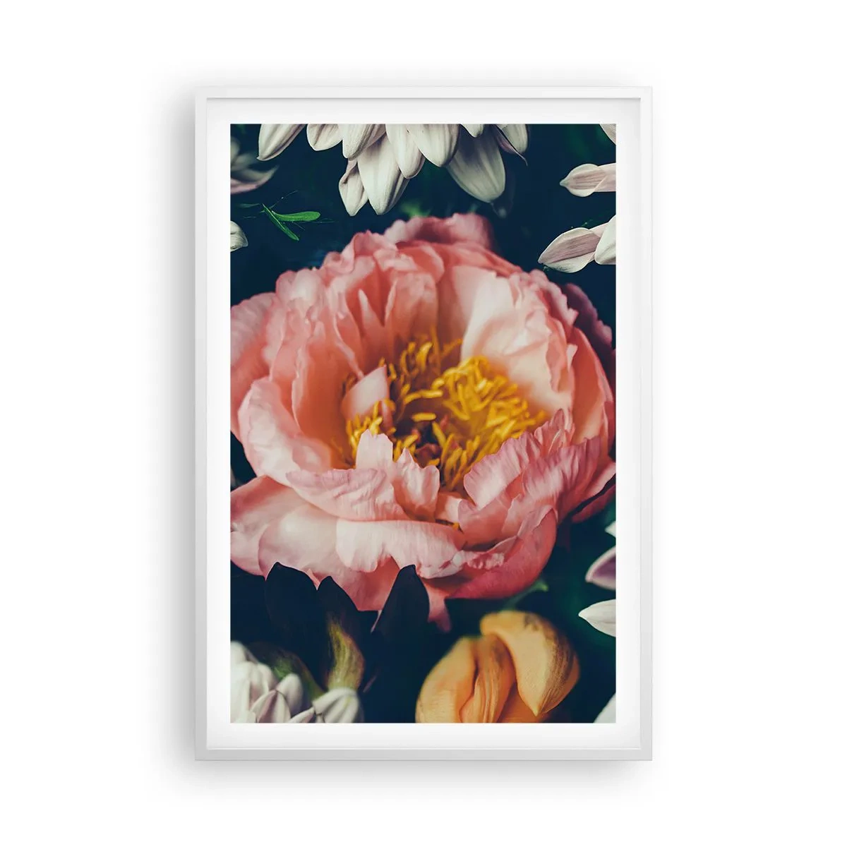 Poster in cornice bianca - Con fasto barocco - 61x91 cm