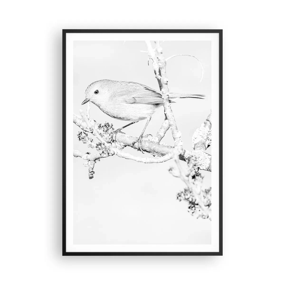 Poster in cornice nera - Mattino invernale - 70x100 cm