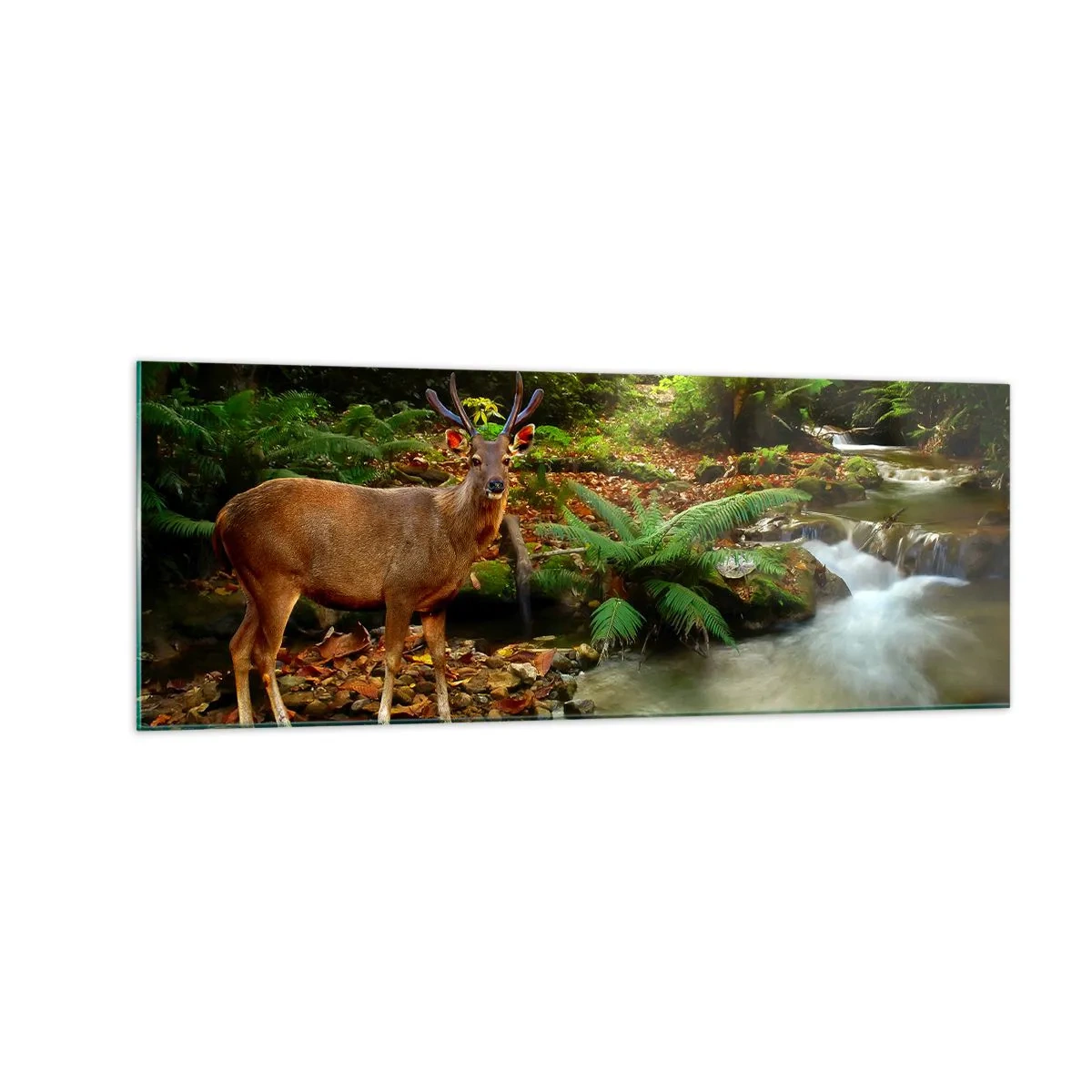 Quadro su vetro - Un cervo vicino a un ruscello circondato dal verde della foresta - 140x50cm - Benvenuto nel mio mondo - Decorazione murale moderna per soggiorno e camera da letto ARTTOR