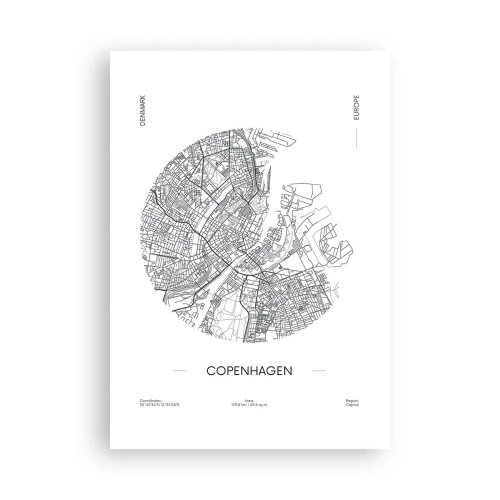 Poster - Anatomia di Copenaghen - 70x100 cm