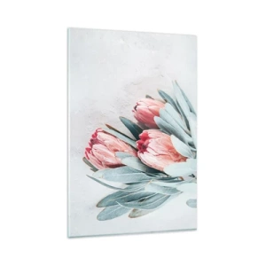 Quadro su vetro - Delicati fiori di protea rosa su uno sfondo chiaro - 80x120cm - Imbarazzati per la propria bellezza - Decorazione murale moderna per soggiorno e camera da letto ARTTOR