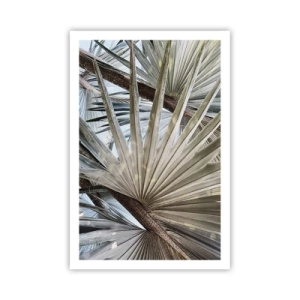 Poster - Ventagli dei tropici - 61x91 cm