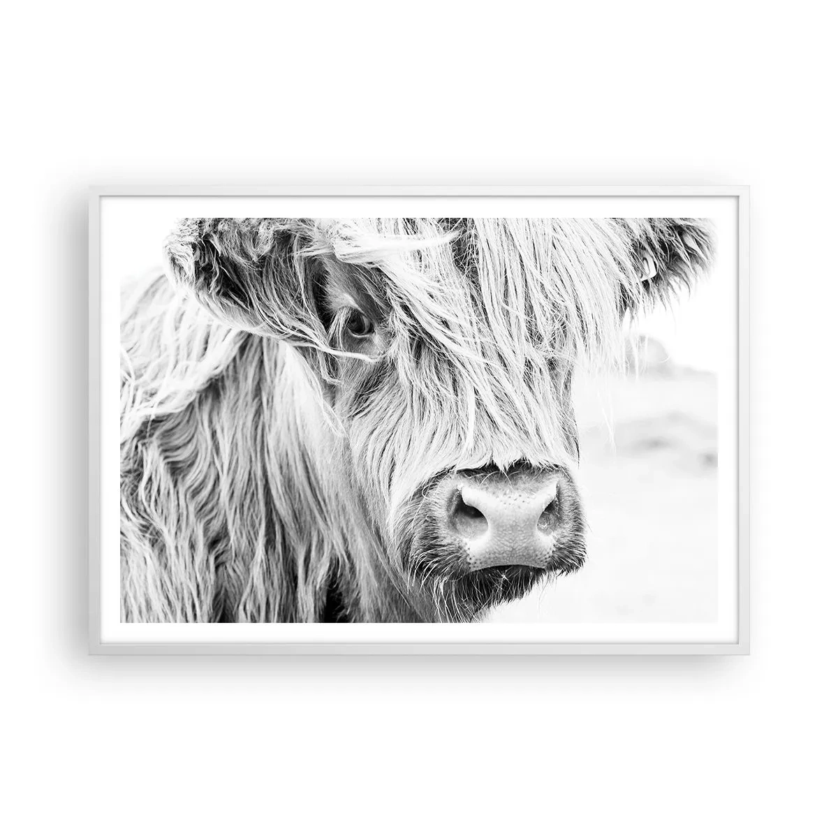 Poster in cornice bianca - Selvaticità scozzese - 100x70 cm