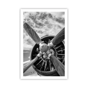 Poster - Il dominatore dell'aria - 61x91 cm