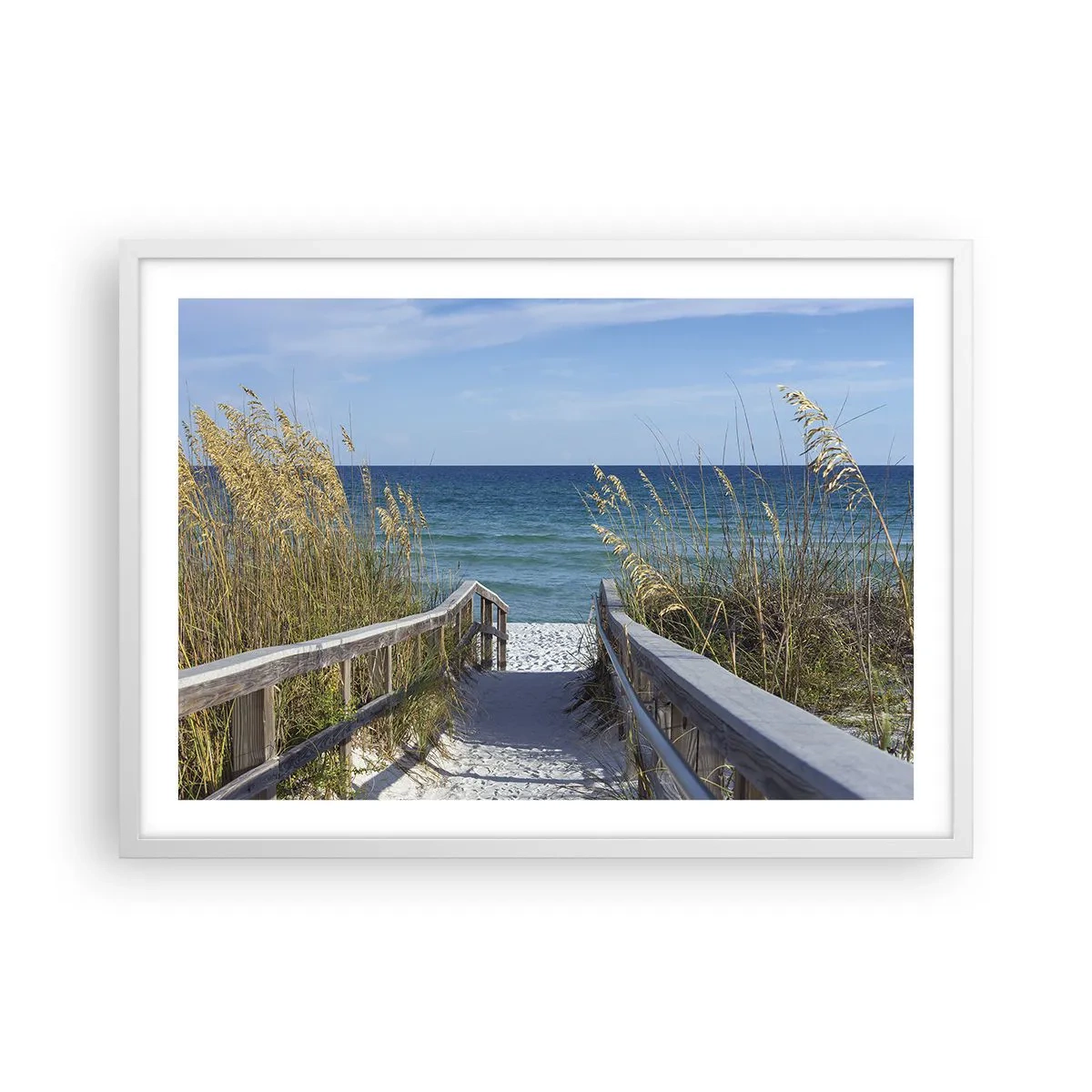 Poster in cornice bianca - Al sole, al vento - 70x50 cm