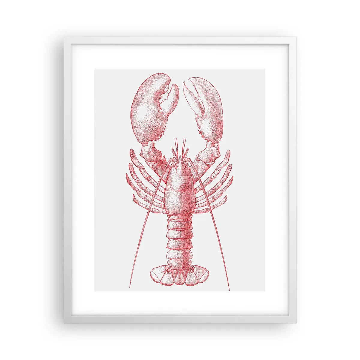 Poster in cornice bianca - Aragosta d'agosto - 40x50 cm