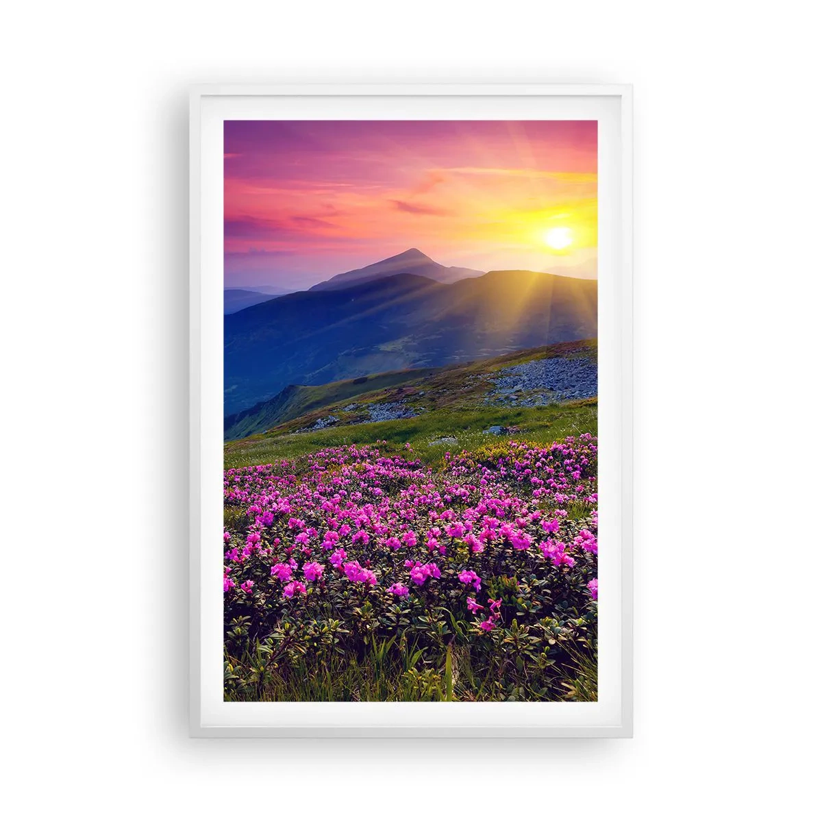 Poster in cornice bianca - Odore di mugo e profumo di erbe - 61x91 cm