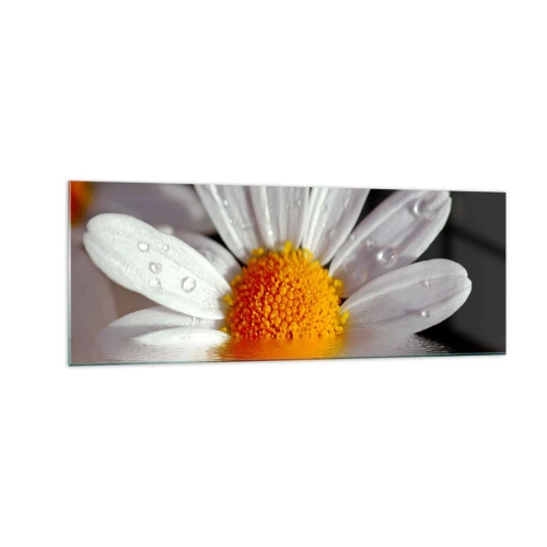 Quadro su vetro - Una margherita bianca con gocce d'acqua immerse in un riflesso d'acqua - 140x50cm - L'alba della margherita - Decorazione murale moderna per soggiorno e camera da letto ARTTOR