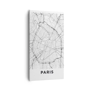 Quadro su tela - Stampe su Tela - Il fiore di Parigi - 55x100 cm