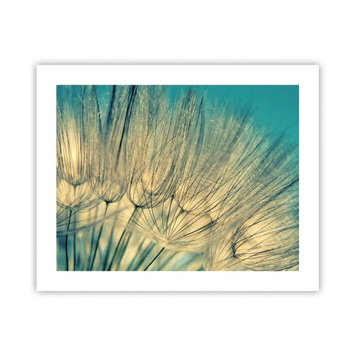 Poster - Aspettando il vento - 50x40 cm