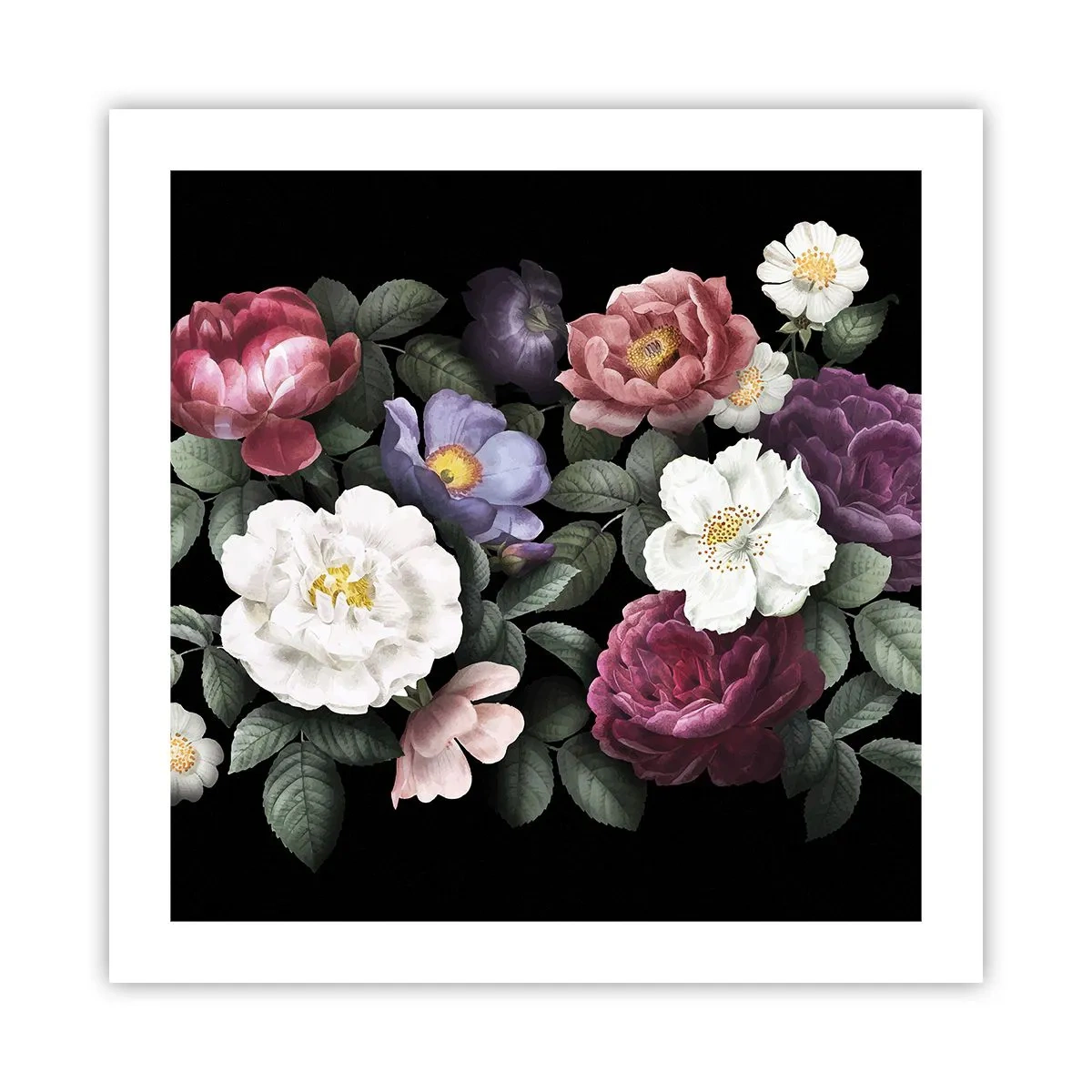 Poster - Dal giardino inglese - 50x50 cm