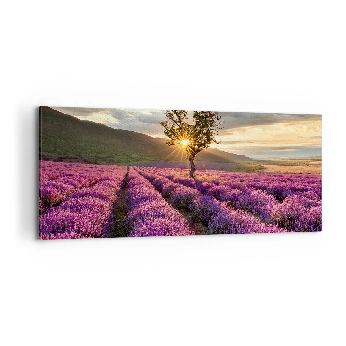 Quadro su tela - Stampe su Tela - Aroma di colore lilla - 100x40 cm