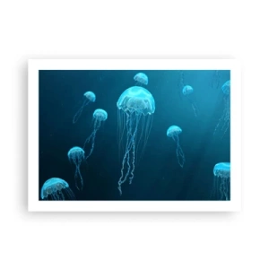 Poster - La danza oceanica - 70x50 cm