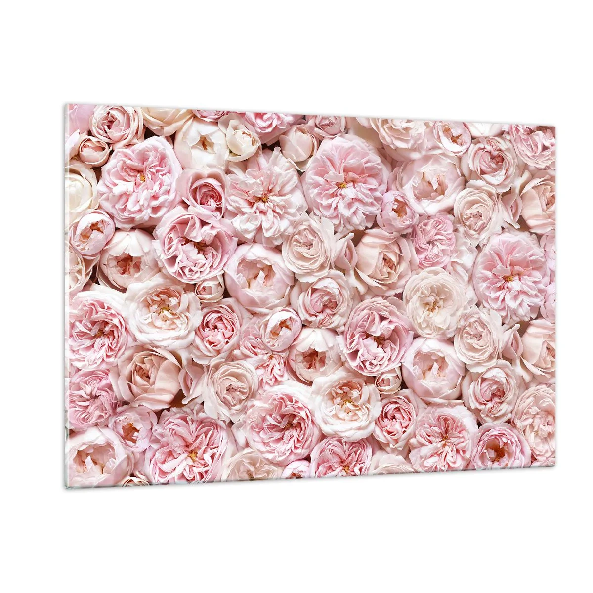 Quadro su vetro - Rose pastello in una fitta composizione floreale - 120x80cm - Coperto di rose - Decorazione murale moderna per soggiorno e camera da letto ARTTOR