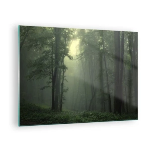 Quadro su vetro - Una foresta oscura avvolta nella nebbia con raggi di luce - 70x50cm - Prima che si svegli - Decorazione murale moderna per soggiorno e camera da letto ARTTOR