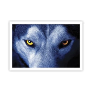 Poster - Sguardo ipnotico - 91x61 cm