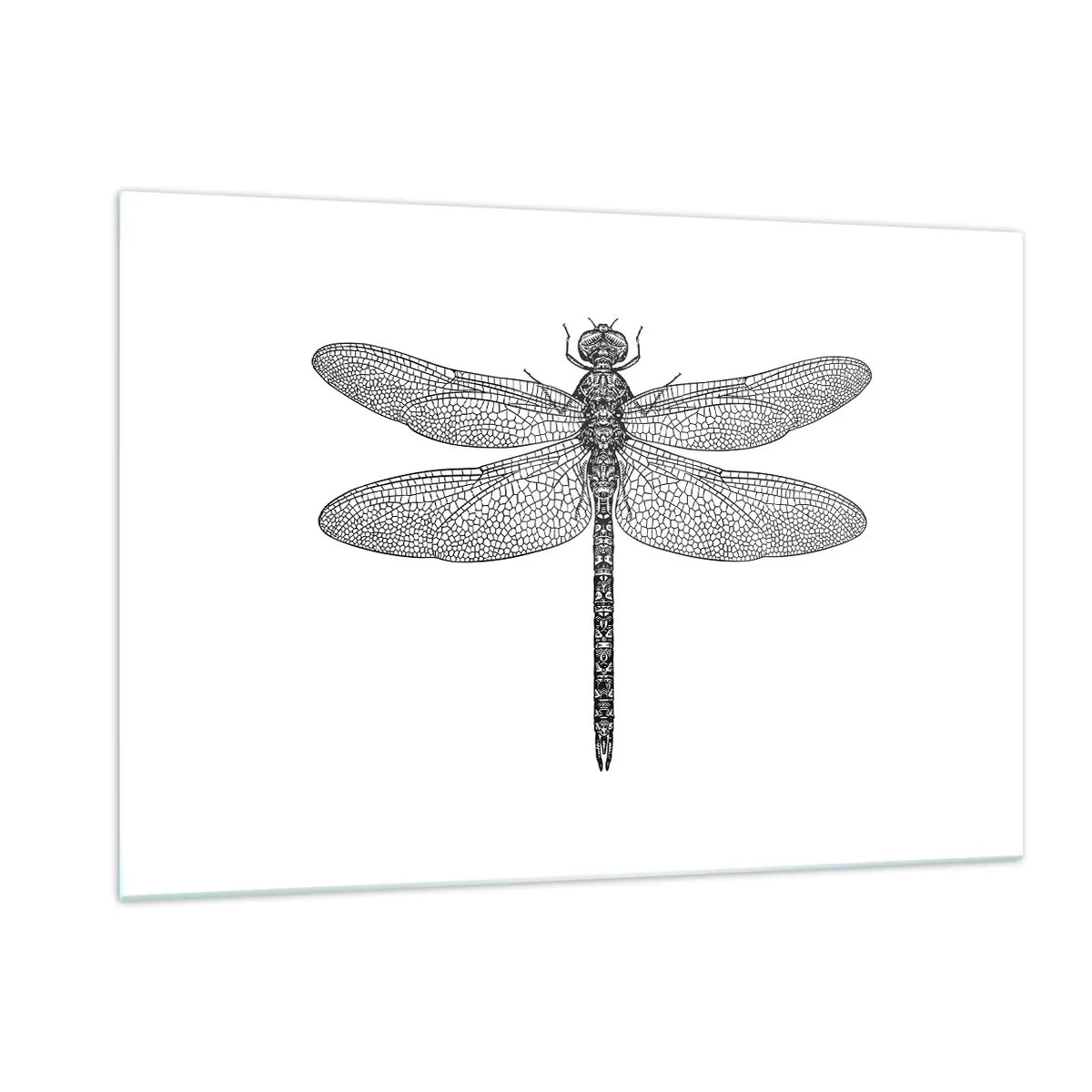 Quadro su vetro - Illustrazione dettagliata di una libellula in stile incisione su sfondo bianco - 120x80cm - La precisione della natura - Decorazione murale moderna per soggiorno e camera da letto ARTTOR