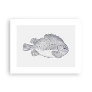 Poster - Nell'album del naturalista - 40x30 cm