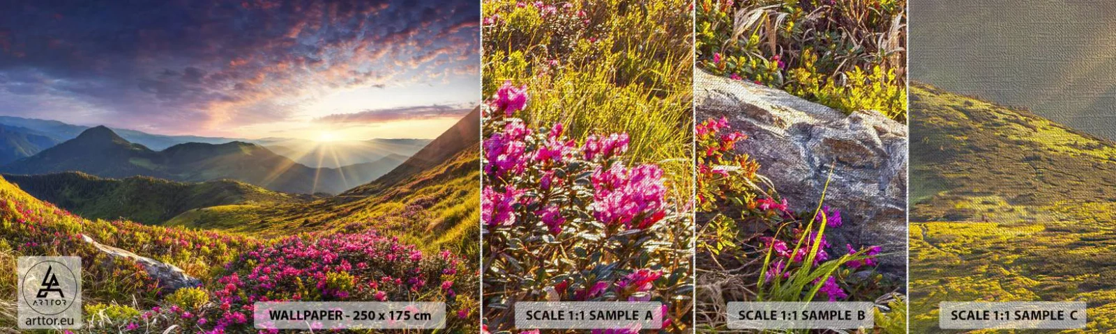 Campione di Fotomurale Premium Canvas - La freschezza di un mattino sui monti - Paesaggio, Montagne, Fiori - 100x30 cm