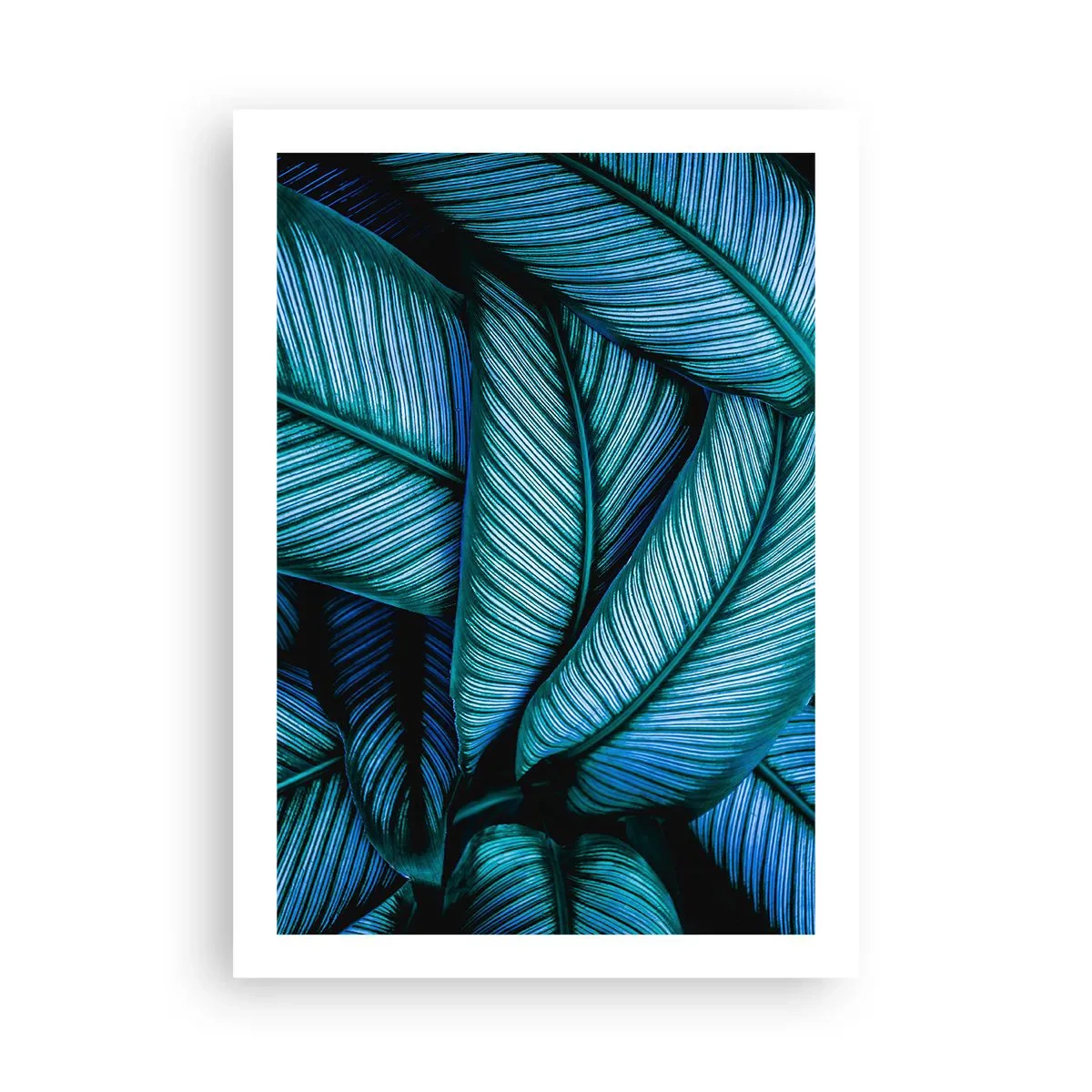 Poster - Le affascinanti foglie blu-verdi del banano - 50x70cm - Le linee della vita - Decorazione murale moderna per soggiorno e camera da letto ARTTOR