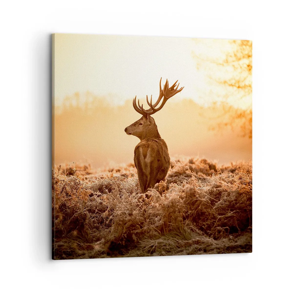 Quadro su tela - Stampe su Tela - Il signore sulle sue terre - 50x50 cm