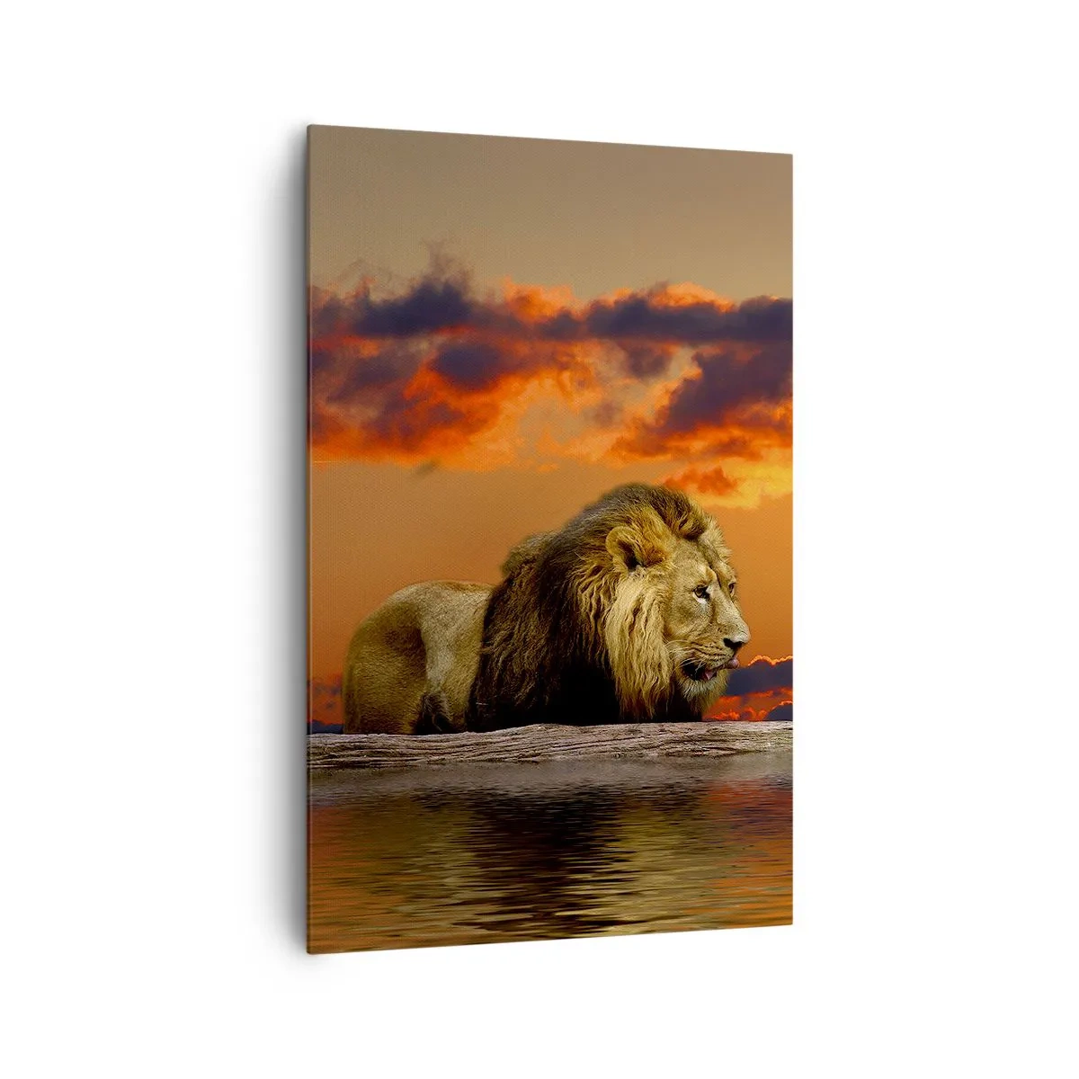 Quadro su tela - Stampe su Tela - Un leone riposa in riva all'acqua al tramonto, con un cielo spettacolare. - 80x120cm - Il re della natura - Decorazione murale moderna per soggiorno e camera da letto ARTTOR