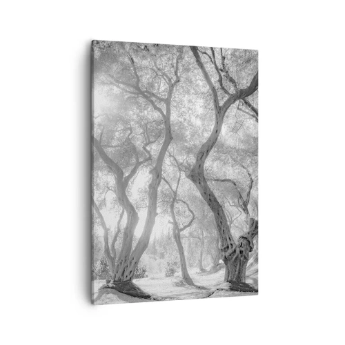 Quadro su tela - Stampe su Tela - Vista in bianco e nero degli alberi in un uliveto con raggi di sole - 50x70cm - Nell'orto degli ulivi - Decorazione murale moderna per soggiorno e camera da letto ARTTOR