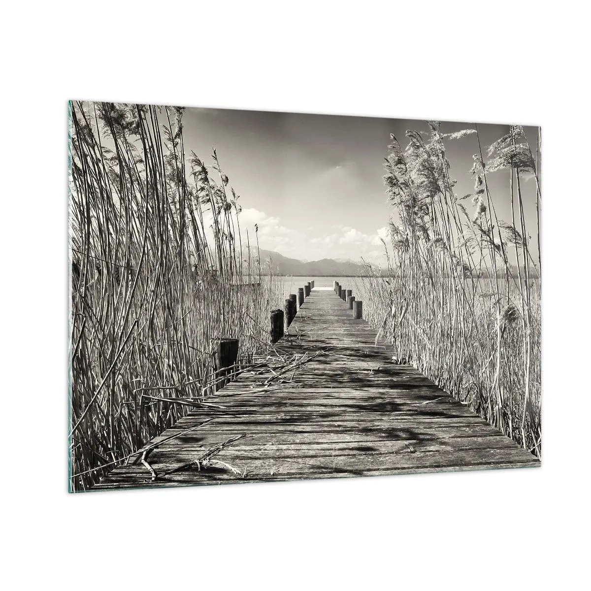 Quadro su vetro - Un ponte di legno attraversa l'erba e attraversa un lago tranquillo. - 100x70cm - Nel silenzio dell'erba - Decorazione murale moderna per soggiorno e camera da letto ARTTOR