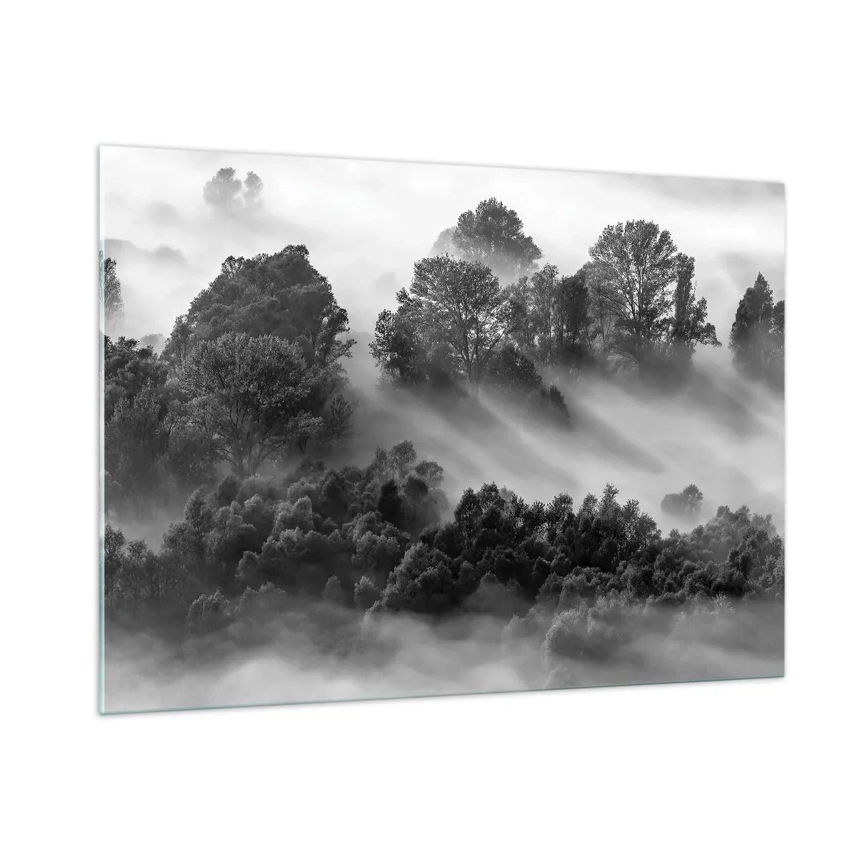 Quadro su vetro - Foresta nebbiosa alla luce del sole in bianco e nero - 100x70cm - Risveglio dal sonno - Decorazione murale moderna per soggiorno e camera da letto ARTTOR