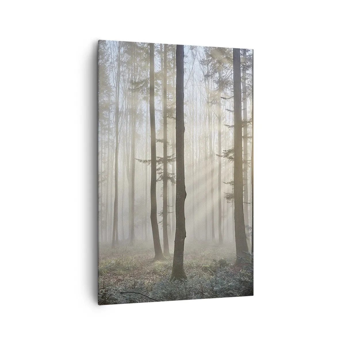 Quadro su tela - Stampe su Tela - Una foresta in una leggera nebbia con raggi di sole che brillano attraverso gli alberi - 80x120cm - Anche la nebbia si è svegliata - Decorazione murale moderna per soggiorno e camera da letto ARTTOR