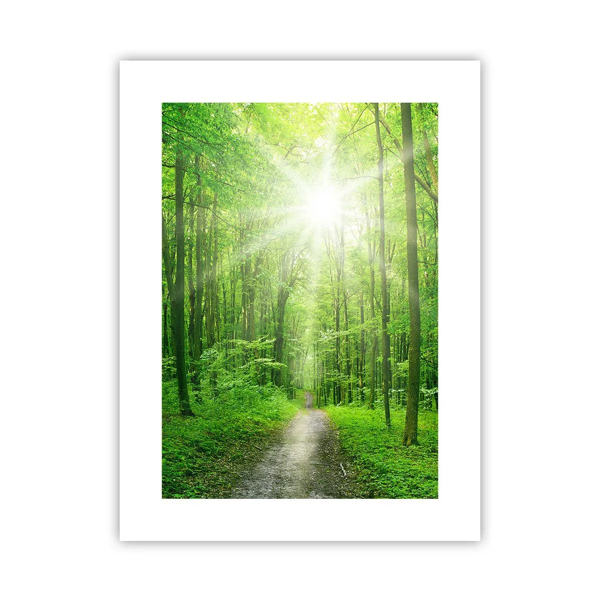 Poster - Cattedrale verde - 30x40 cm