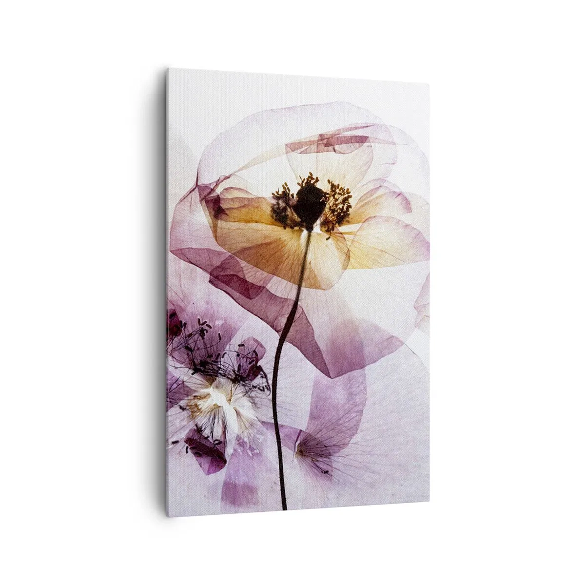 Quadro su tela - Stampe su Tela - Delicati fiori trasparenti in tonalità pastello - 80x120cm - Fiori trasparenti - Decorazione murale moderna per soggiorno e camera da letto ARTTOR